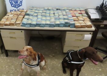 Encuentran un millón de euros en el doble fondo de un vehículo en un control rutinario en Málaga
