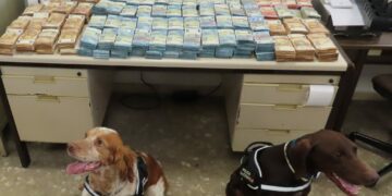 Encuentran un millón de euros en el doble fondo de un vehículo en un control rutinario en Málaga