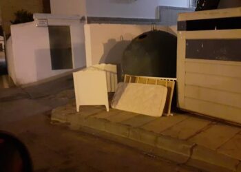 Las multas de 100 a 3.000 euros no frenan en Manilva este tipo de actitudes incívicas