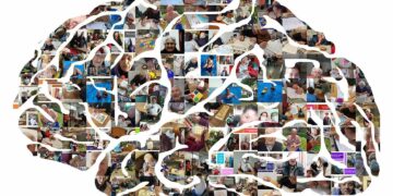 El IV Festival Rosa Fina de Casares donará toda la recaudación a la Escuela Neuro-Cognitiva de Botika