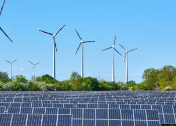 Casares aúna fuerzas para reclamar a la Junta que paralice los proyectos de plantas fotovoltaicas