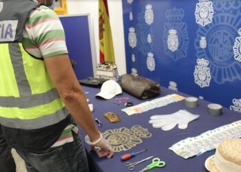 Detenidas las componentes de dos células dedicadas a robos en domicilios en la Costa del Sol