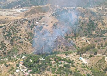 Declarado un incendio forestal en Estepona