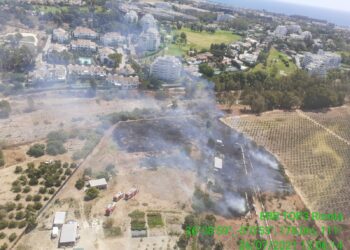 Declarado un incendio forestal entre Benahavís y Marbella