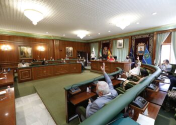 El Pleno de Marbella ratifica el documento de avance del PGOU