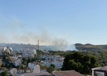 Declarado un incendio cercano a la zona de Goleto en Los Hidalgos de Manilva