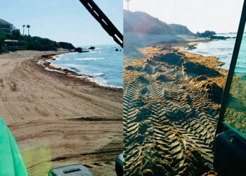 Trabajo diario para eliminar el alga invasora del litoral de Casares