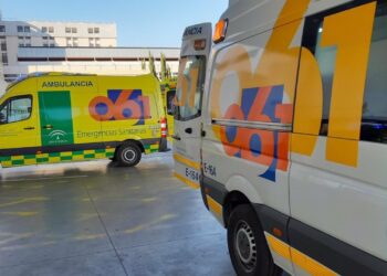 Muere un hombre en un accidente entre dos turismos en la A-7 en Estepona