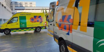 Muere un hombre en un accidente entre dos turismos en la A-7 en Estepona