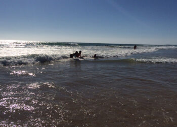 El agua de las playas andaluzas cumple los niveles de calidad exigidos