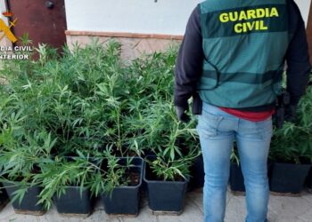 Desmantelada una organización polaca de narcotraficantes que operaba en Andalucía