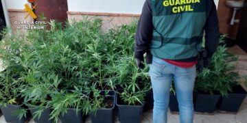 Desmantelada una organización polaca de narcotraficantes que operaba en Andalucía