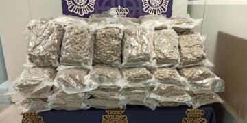 Operación Berlín: pretendían enviar la droga en palés de productos de alimentación y limpieza