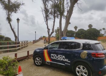 Detienen en Marbella a un fugitivo francés reclamado por su país por un delito de homicidio