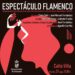 Estepona cierra la agenda cultural de agosto con un espectáculo gratuito de flamenco