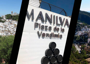 Benahavís, Casares y Manilva, municipios de más de 5.000 habitantes con menos muertes por Covid-19