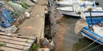 Destinan cerca de 120 mil euros a mejoras en el Puerto de Estepona