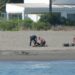 Dos detenidos cuando transportaban fardos de hachís en la playa del Saladillo