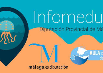 InfoMedusa, una app que te alerta de las medusas en la Costa del Sol