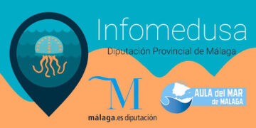 InfoMedusa, una app que te alerta de las medusas en la Costa del Sol