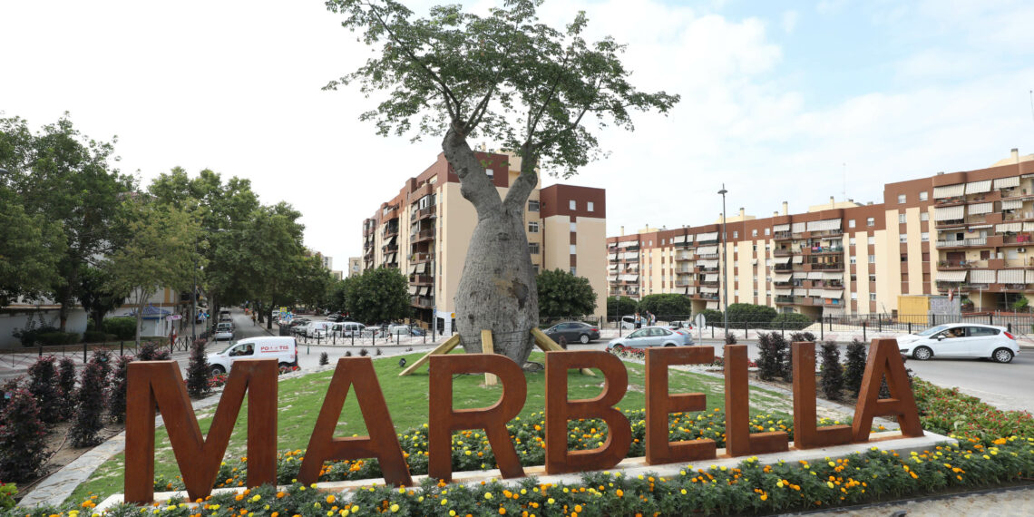 Un arbol centenario de 10 metros de altura dará la bienvenida a Marbella por su entrada Oeste