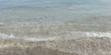 Una plaga de medusas invade las playas de Casares y de toda la provincia