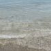 Una plaga de medusas invade las playas de Casares y de toda la provincia