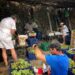 La vendimia en Manilva: tradición con dificultades para encontrar manos que la trabajen