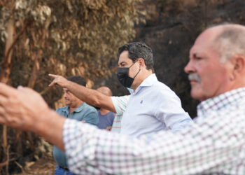 Moreno anuncia que pedirá a Sánchez la declaración de zona catastrófica para Sierra Bermeja