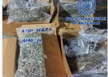 Desarticulada en Fuengirola una red de origen holandés dedicado al tráfico de marihuana y hachís