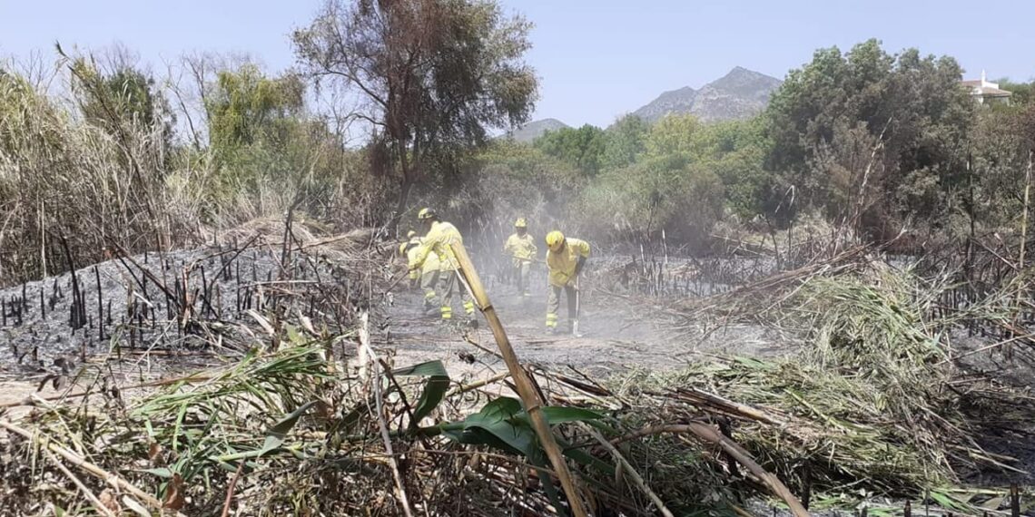 Hoy sábado continúan las labores de «remate y liquidación» del incendio de Sierra Bermeja
