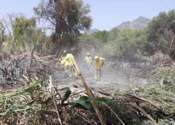 Hoy sábado continúan las labores de «remate y liquidación» del incendio de Sierra Bermeja