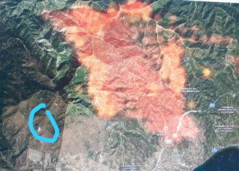 El incendio cerca ADANA, que solicita casas de acogida para sus animales