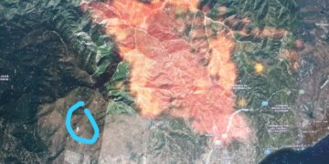 El incendio cerca ADANA, que solicita casas de acogida para sus animales