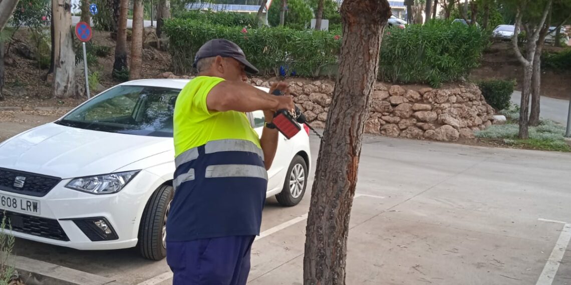 Casares comienza la lucha anual contra la oruga procesionaria