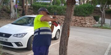Casares comienza la lucha anual contra la oruga procesionaria