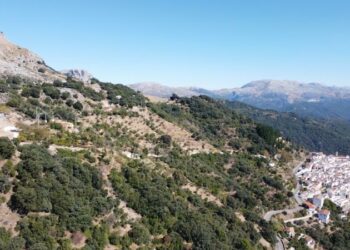 Ampliado el plazo de presentación de proyectos al I Premio ‘Tu iniciativa tiene valor’