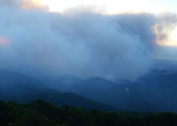 Avanza sin control el incendio de Sierra Bermeja y Benahavís comienza a desalojar Montemayor