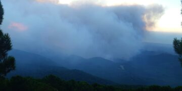 Avanza sin control el incendio de Sierra Bermeja y Benahavís comienza a desalojar Montemayor
