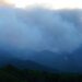 Avanza sin control el incendio de Sierra Bermeja y Benahavís comienza a desalojar Montemayor