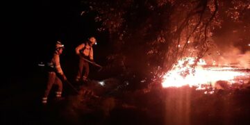 Controlado el incendio forestal en Sierra Bermeja