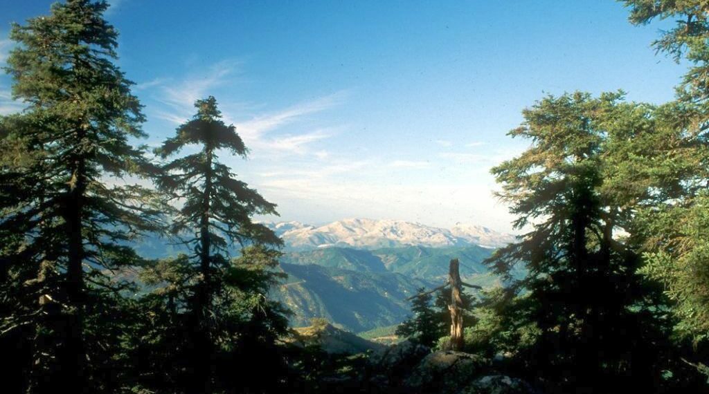 La Plataforma exige a los políticos que cumplan sus compromisos con Sierra Bermeja