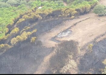 Las llamas acabaron devorando el helicóptero del INFOCA accidentado