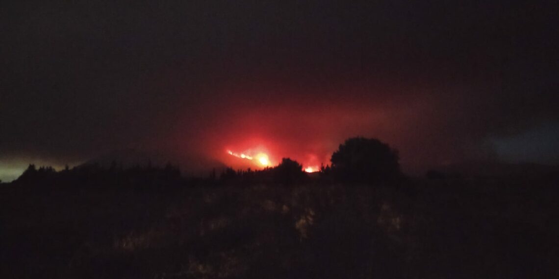 La Policía Nacional comienza a desalojar más viviendas en Estepona