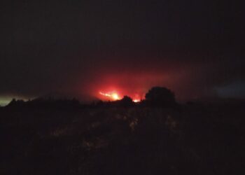 La Policía Nacional comienza a desalojar más viviendas en Estepona