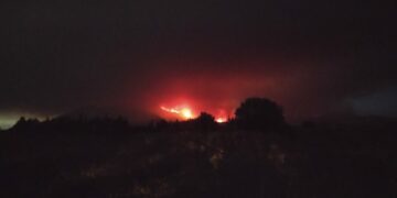 La Policía Nacional comienza a desalojar más viviendas en Estepona