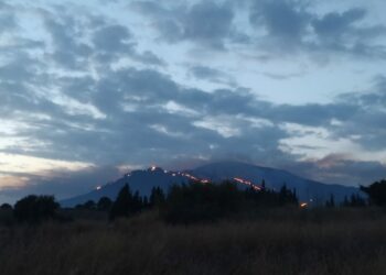 Más de mil vecinos de Estepona y Benahavís pueden ya volver a sus viviendas