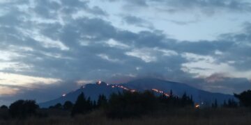 Más de mil vecinos de Estepona y Benahavís pueden ya volver a sus viviendas