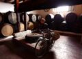 Los vinos malagueños con denominación de origen se unen en ‘Málaga, la mar de vinos’