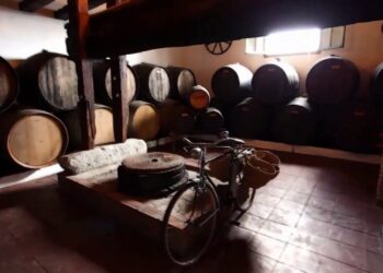 Los vinos malagueños con denominación de origen se unen en ‘Málaga, la mar de vinos’